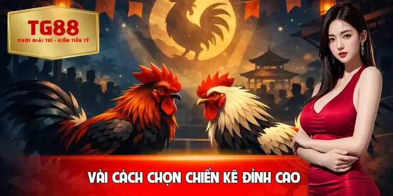 da-ga-cua-sat-cach-chon-chien-ke