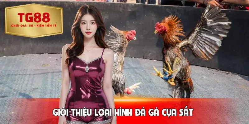 da-ga-cua-sat-gioi-thieu