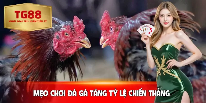 da-ga-thomo-meo-choi