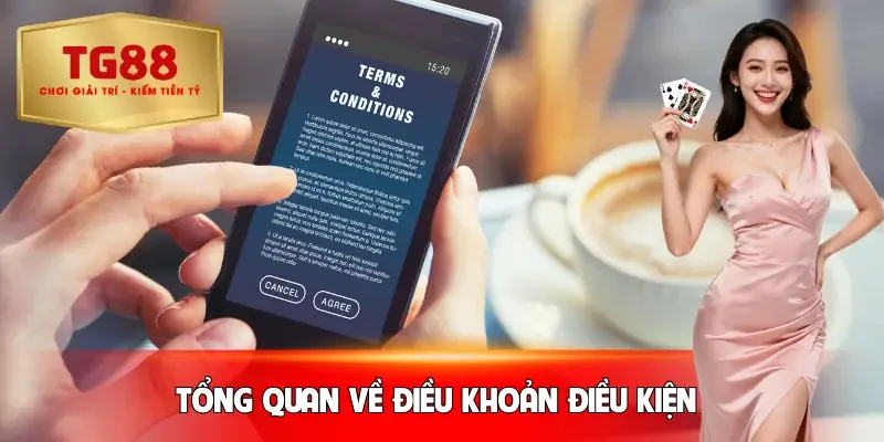 dieu-khoan-dieu-kien-gioi-thieu