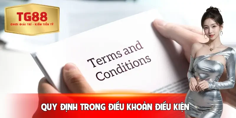 dieu-khoan-dieu-kien-quy-dinh-chung