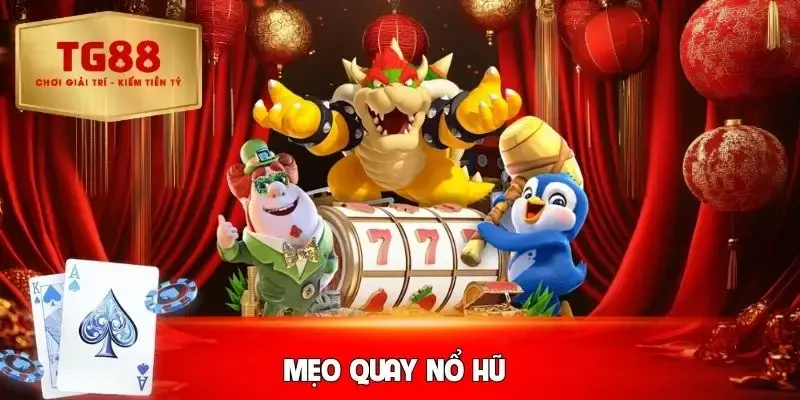 meo-quay-no-hu