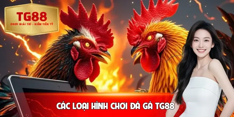 da-ga-tg88-loai-hinh